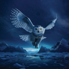 Fly By Night 50th Anniversary