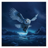 Fly By Night 50th Anniversary