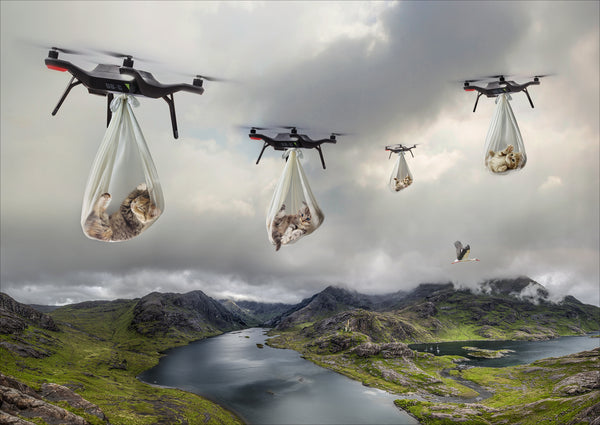Special Delivery II