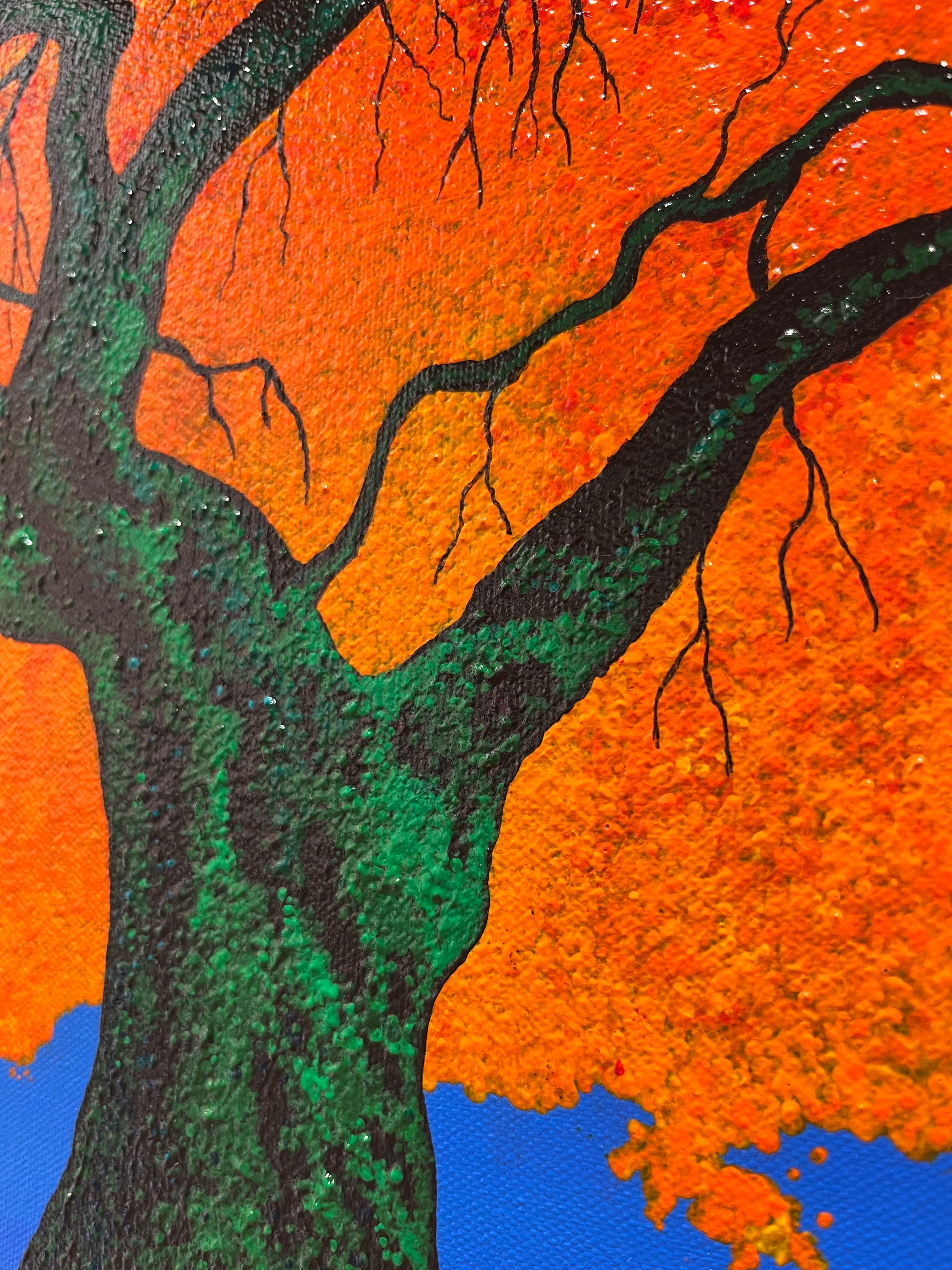 Bright Orange Texas Treetop