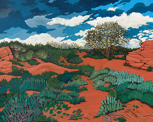 Desert Sky