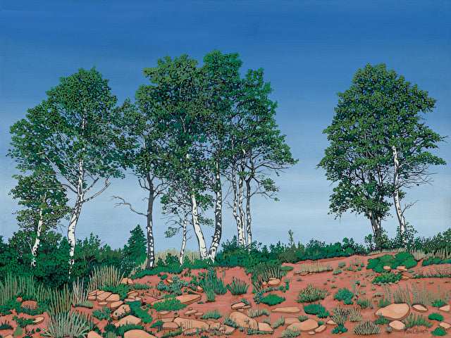 High Country