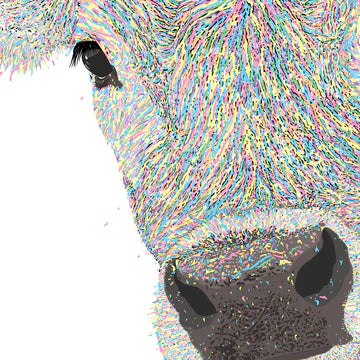 Graham Atwell (aka Atty) digital artwork of a female cow's nose.