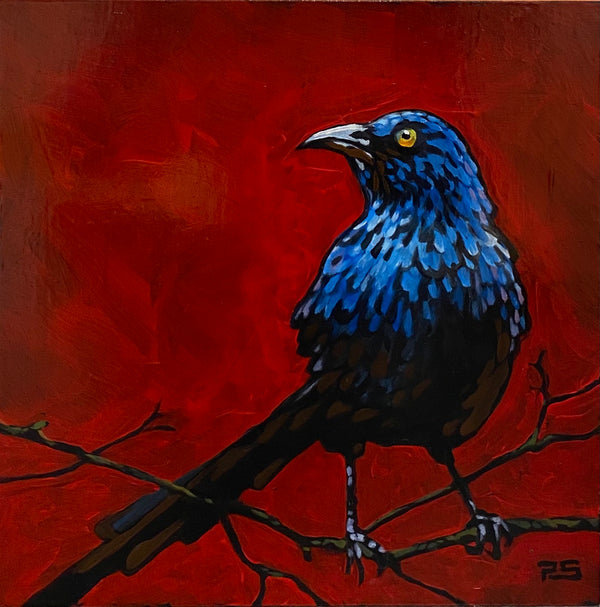 Grackle - Red