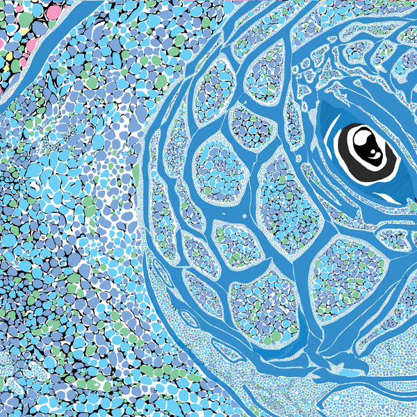 Graham Atwell (aka Atty) digital artwork of a sea turtle 