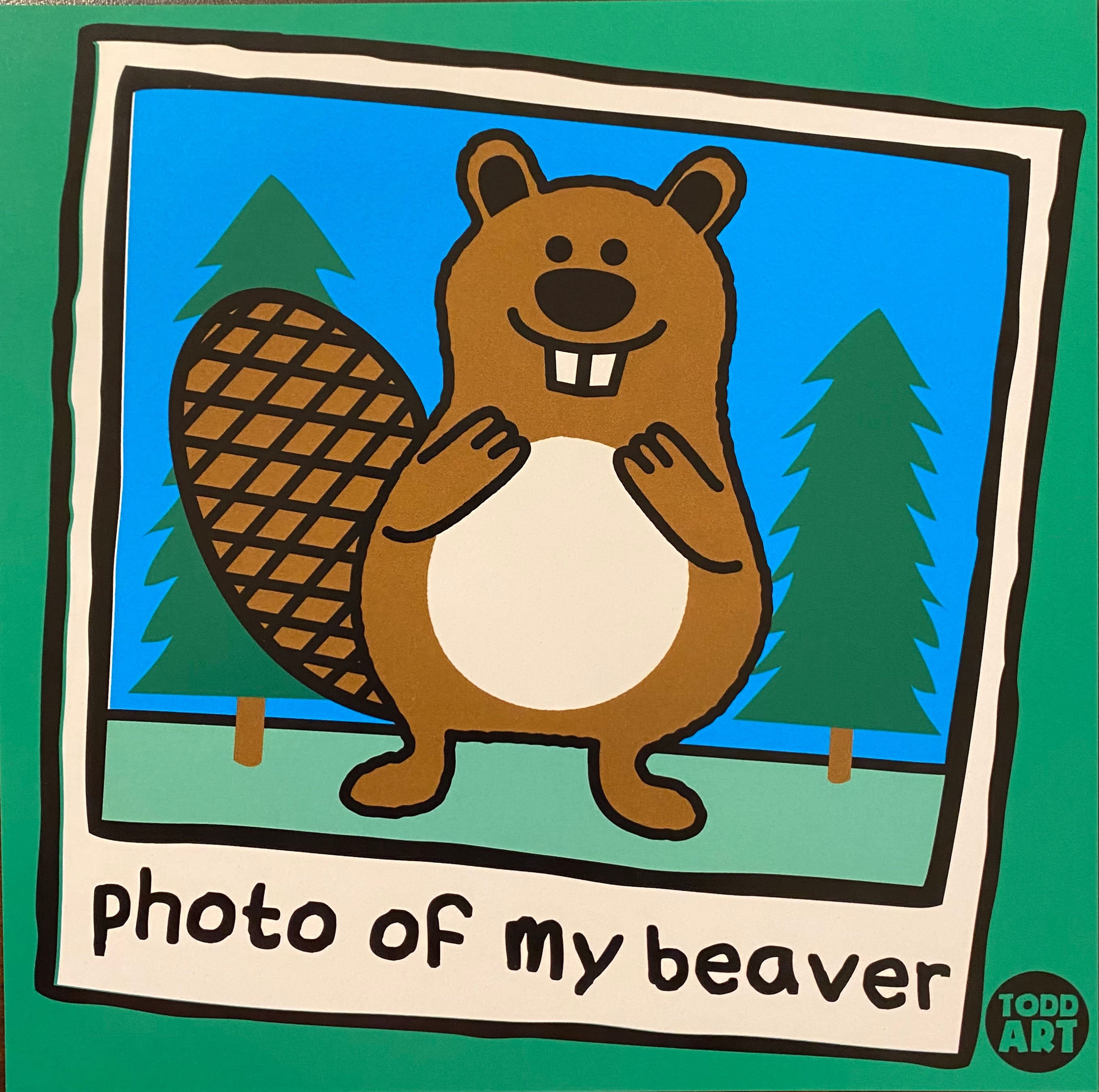 Photo of My Beaver