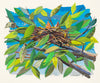 Four Seasons - Nests