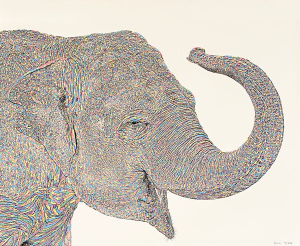 Graham Atwell (aka Atty) digital art of an elephant..