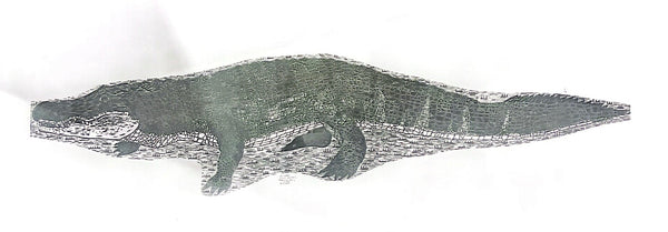 Alligator Silver Edition